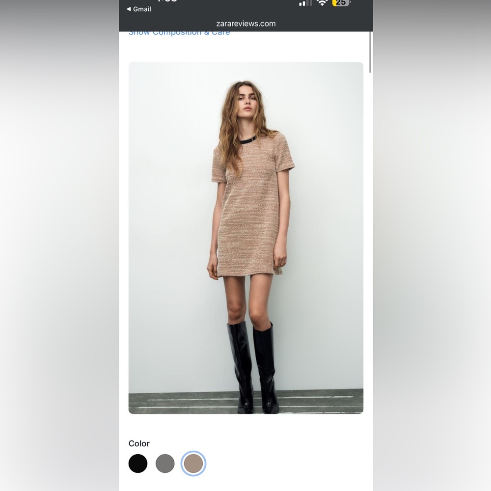 Zara Brown Mini Dress